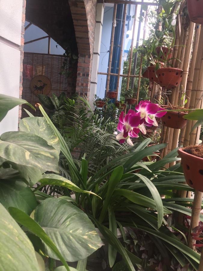 Van Lam Tam Coc Scenery Homestay מראה חיצוני תמונה