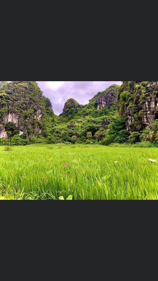 Van Lam Tam Coc Scenery Homestay מראה חיצוני תמונה